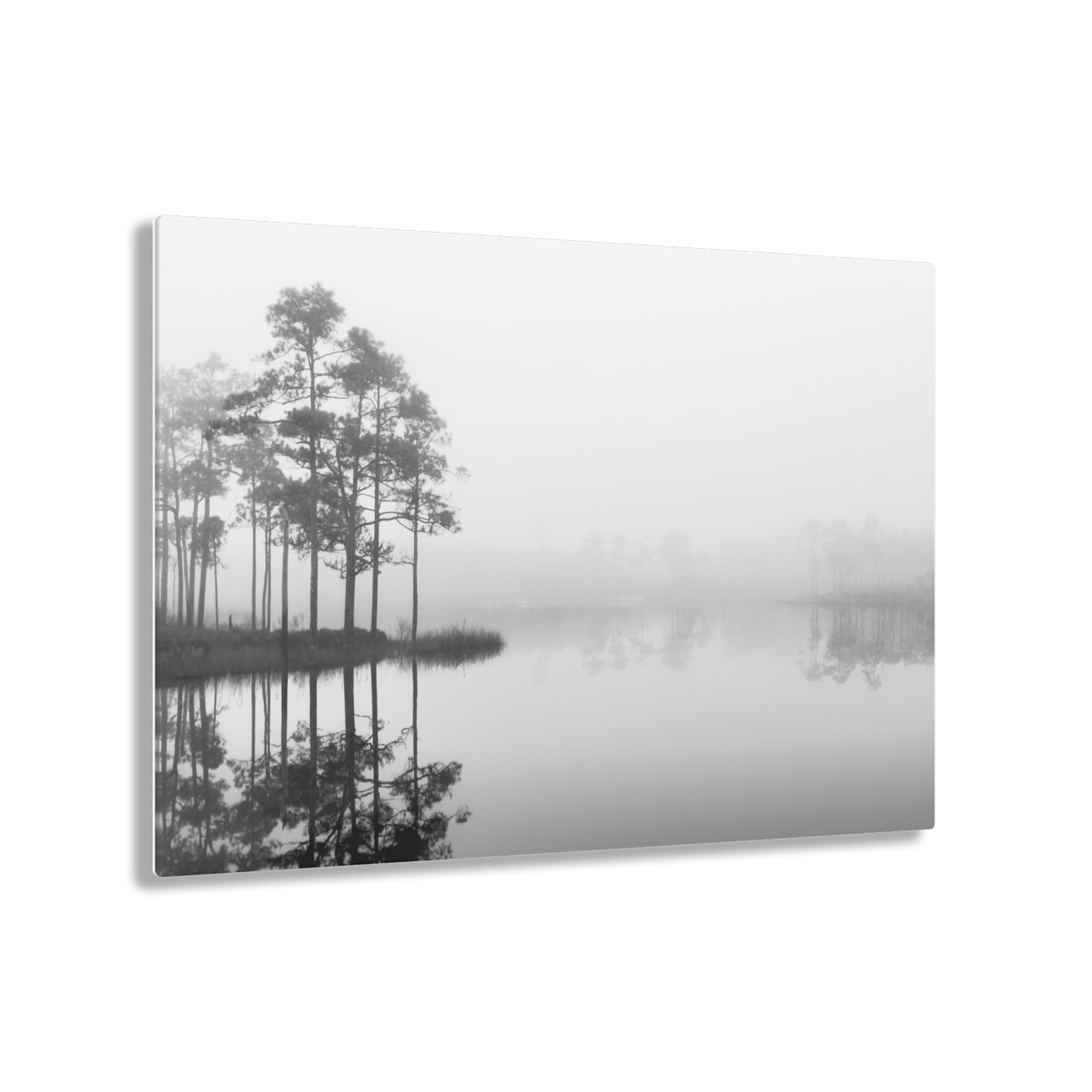 Into The Fog