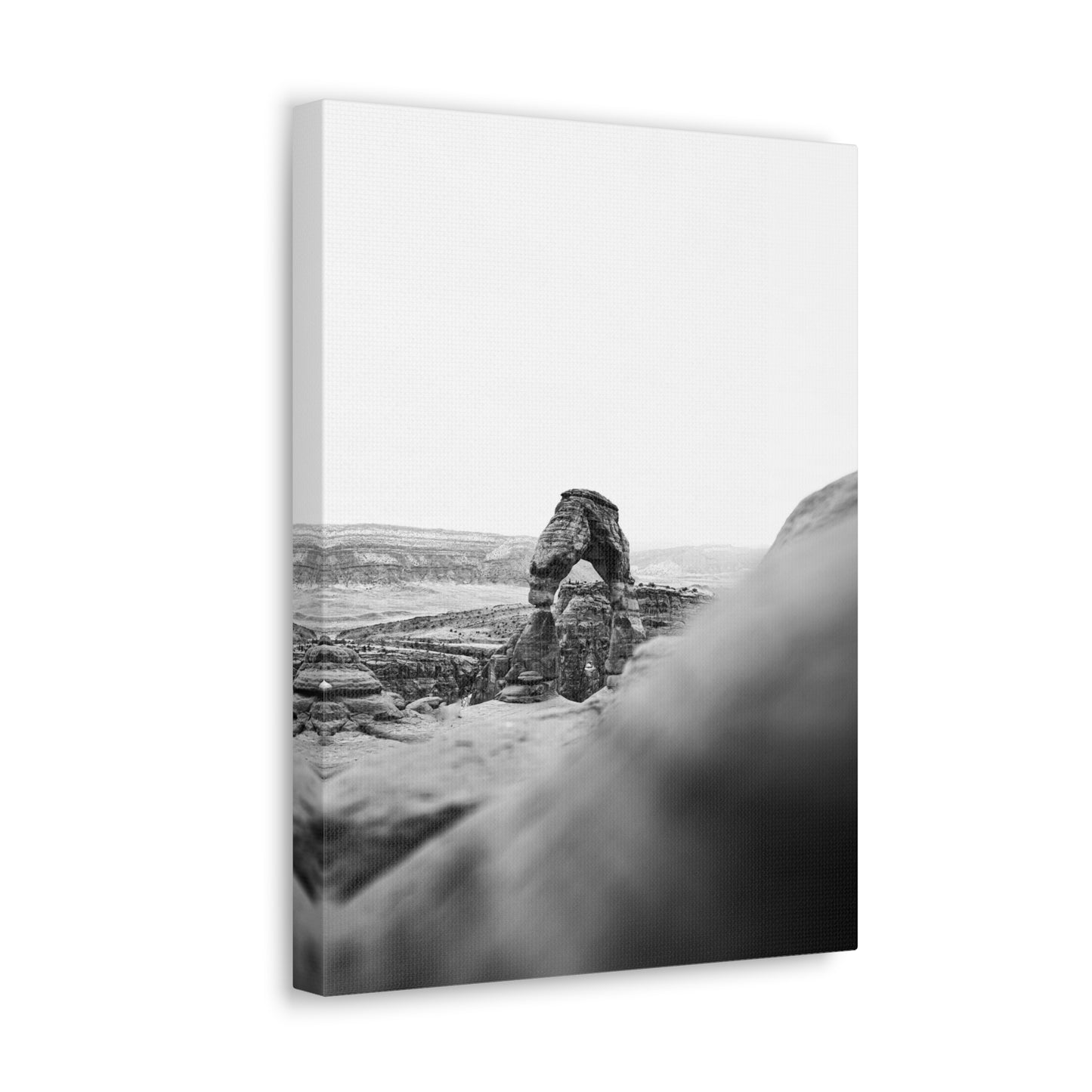 Delicate Arch B&W