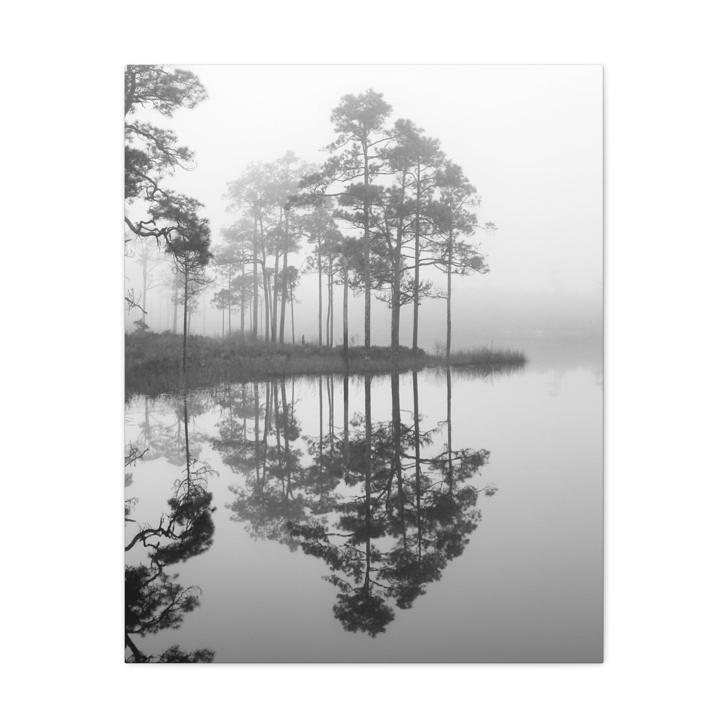 Mirror Mirror